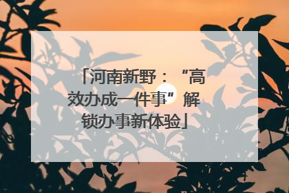 河南新野：“高效办成一件事”解锁办事新体验