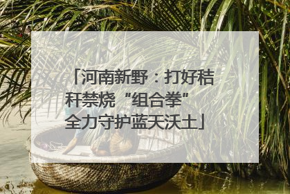 河南新野：打好秸秆禁烧“组合拳” 全力守护蓝天沃土
