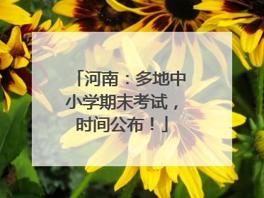 河南：多地中小学期末考试，时间公布！