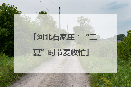 河北石家庄：“三夏”时节麦收忙