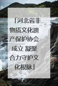 河北省非物质文化遗产保护协会成立 凝聚合力守护文化根脉