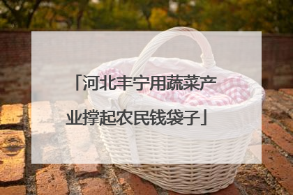 河北丰宁用蔬菜产业撑起农民钱袋子