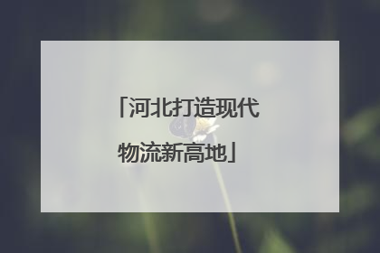 河北打造现代物流新高地