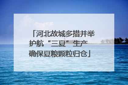 河北故城多措并举护航“三夏”生产 确保夏粮颗粒归仓