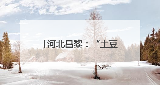 河北昌黎：“土豆”变“金豆” 马铃薯丰收采挖忙