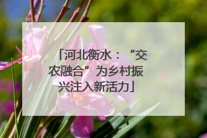 河北衡水：“交农融合”为乡村振兴注入新活力