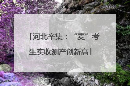 河北辛集：“麦”考生实收测产创新高