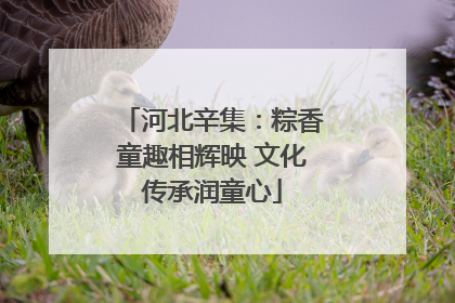 河北辛集：粽香童趣相辉映 文化传承润童心