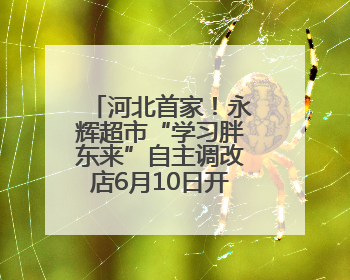 河北首家！永辉超市“学习胖东来”自主调改店6月10日开门迎客