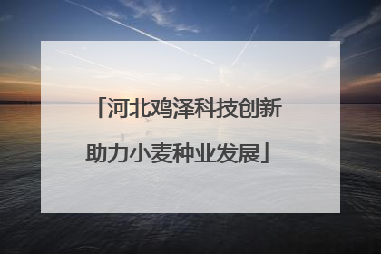 河北鸡泽科技创新助力小麦种业发展