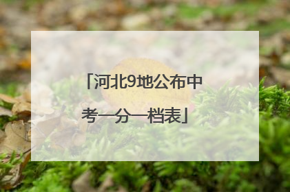 河北9地公布中考一分一档表