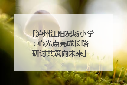 泸州江阳况场小学：心光点亮成长路 研讨共筑向未来