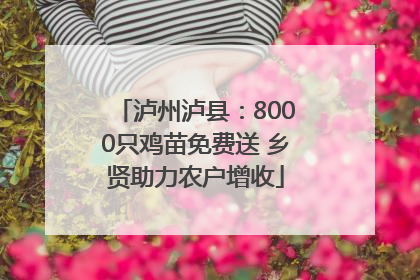 泸州泸县：8000只鸡苗免费送 乡贤助力农户增收