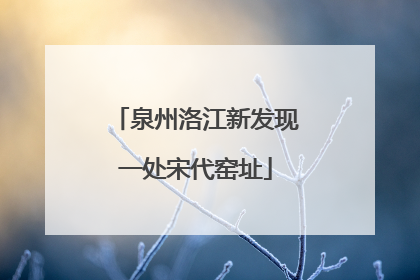 泉州洛江新发现一处宋代窑址
