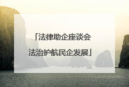 法律助企座谈会 法治护航民企发展