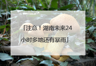 注意！湖南未来24小时多地还有暴雨