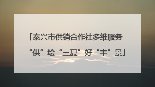 泰兴市供销合作社多维服务 “供”绘“三夏”好“丰”景