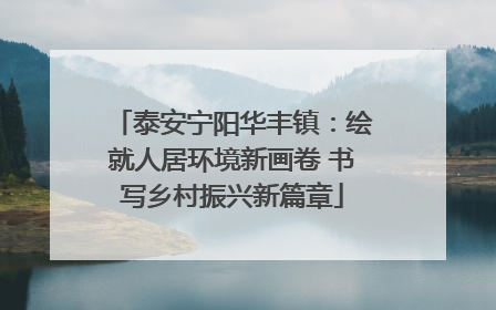 泰安宁阳华丰镇：绘就人居环境新画卷 书写乡村振兴新篇章