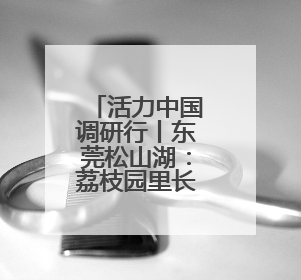 活力中国调研行丨东莞松山湖：荔枝园里长出来的科学城
