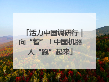 活力中国调研行｜向“智”！中国机器人“跑”起来
