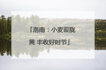 洛南：小麦覆陇黄 丰收好时节