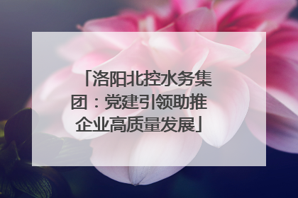 洛阳北控水务集团：党建引领助推企业高质量发展