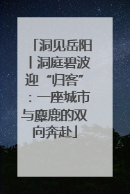 洞见岳阳丨洞庭碧波迎“归客”：一座城市与麋鹿的双向奔赴