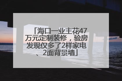 海口一业主花47万元定制装修，验房发现仅多了2样家电、2面背景墙