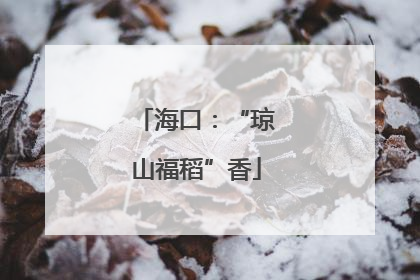 海口：“琼山福稻”香