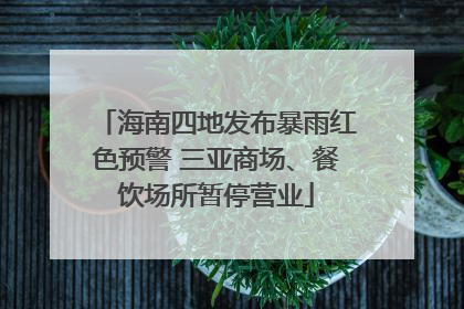 海南四地发布暴雨红色预警 三亚商场、餐饮场所暂停营业