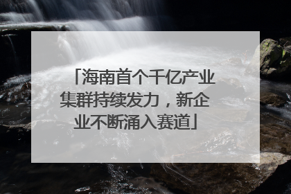 海南首个千亿产业集群持续发力，新企业不断涌入赛道