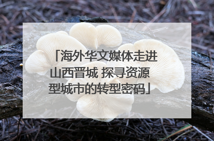 海外华文媒体走进山西晋城 探寻资源型城市的转型密码