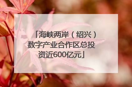 海峡两岸（绍兴）数字产业合作区总投资近600亿元