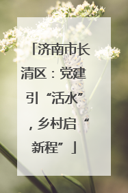 济南市长清区：党建引“活水”，乡村启“新程”