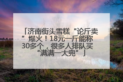 济南街头雪糕“论斤卖”爆火！18元一斤能称30多个，很多人排队买“满满一大兜”