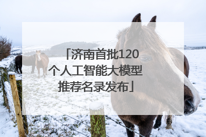 济南首批120个人工智能大模型推荐名录发布