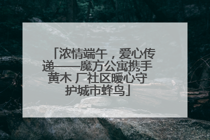 浓情端午，爱心传递——魔方公寓携手黄木 厂社区暖心守护城市蜂鸟