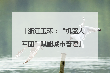 浙江玉环：“机器人军团”赋能城市管理