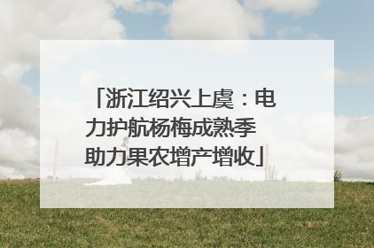 浙江绍兴上虞：电力护航杨梅成熟季 助力果农增产增收
