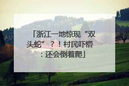 浙江一地惊现“双头蛇”？！村民吓懵：还会倒着爬