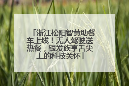 浙江松阳智慧助餐车上线！无人驾驶送热餐，银发族享舌尖上的科技关怀
