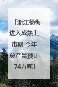 浙江杨梅进入成熟上市期 今年总产量预计74万吨