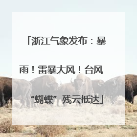 浙江气象发布：暴雨！雷暴大风！台风“蝴蝶”残云抵达
