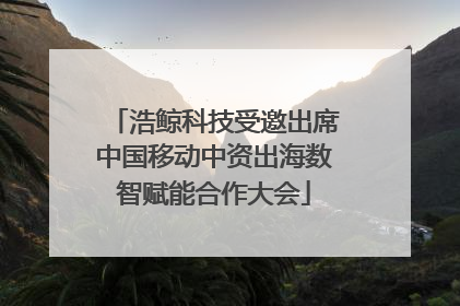浩鲸科技受邀出席中国移动中资出海数智赋能合作大会