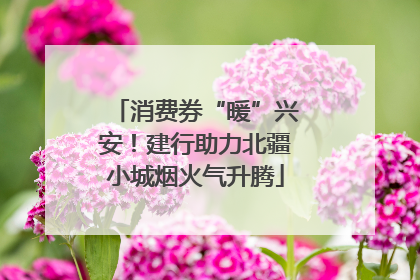 消费券“暖”兴安！建行助力北疆小城烟火气升腾