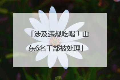 涉及违规吃喝！山东6名干部被处理