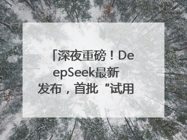 深夜重磅！DeepSeek最新发布，首批“试用体验”出炉→