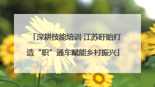 深耕技能培训 江苏盱眙打造“职”通车赋能乡村振兴