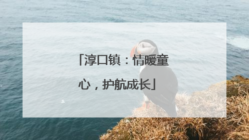淳口镇：情暖童心，护航成长