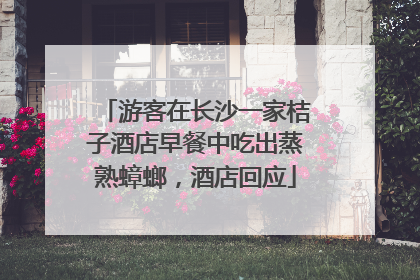 游客在长沙一家桔子酒店早餐中吃出蒸熟蟑螂，酒店回应